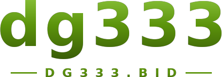 dg333 logo